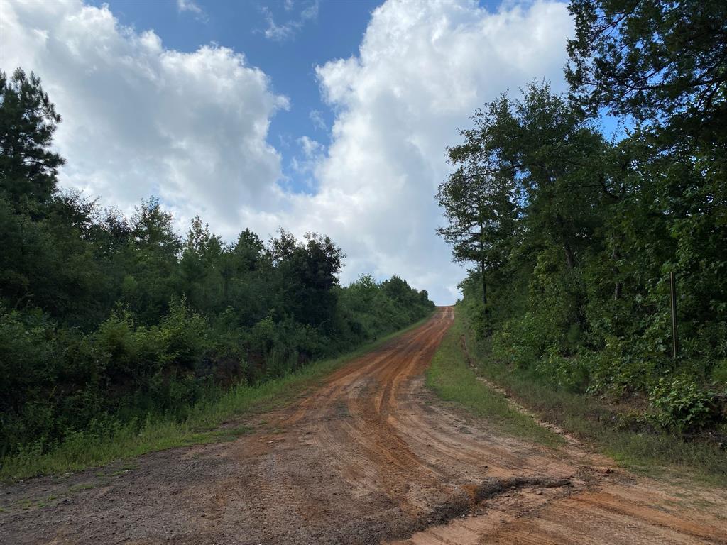Acreage in Tatum
Water 
Elec
Frontage on CR 326, CR 394, CR 392
Can be divided into 4 parcels