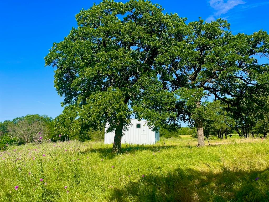 Lot 55 & 56, a sprawling 4.3acre gem nestled within Sarra Ranch Estates, emerges as a standout amidst its serene surroundings.This premier property boasts a 29x24 metal building complete with power and a convenient bathroom, ideal for storing your treasures or pursuing creative endeavors. A graceful treelined driveway welcomes you home, while scattered oak trees throughout the lot enhance its natural allure. With the added convenience of an existing water well, envisioning and creating your dream home is made effortlessly feasible.Sarra Ranch offers more than just space; it promises a sanctuary of seclusion and privacy in a tranquil countryside setting. Despite its peaceful ambiance, the community remains conveniently connected, just a brief 45minute drive to Fort Worth. Enjoy the modern comforts of paved roads, underground power, and fiber internet, all within a community that embraces freedom from HOA restrictions.Embrace the opportunity to build a life of serenity at Sarra Ranch