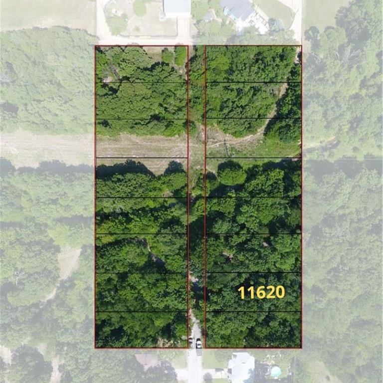 Oak Tree - Land