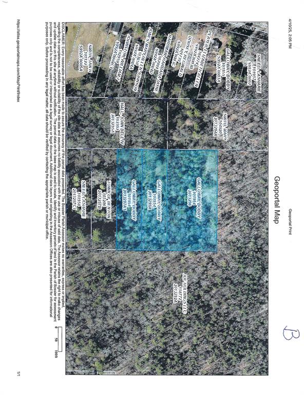 This spacious lot provides plenty of room for custom built home, shop and outdoor living space with a natural setting that highlights the charm of North Louisiana living. Quiet surroundings with mature trees and the flexibility to create your own private retreat. Ideal for new construction or investment
