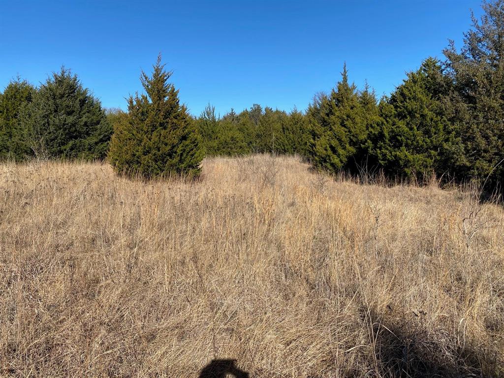 gibson - Land
