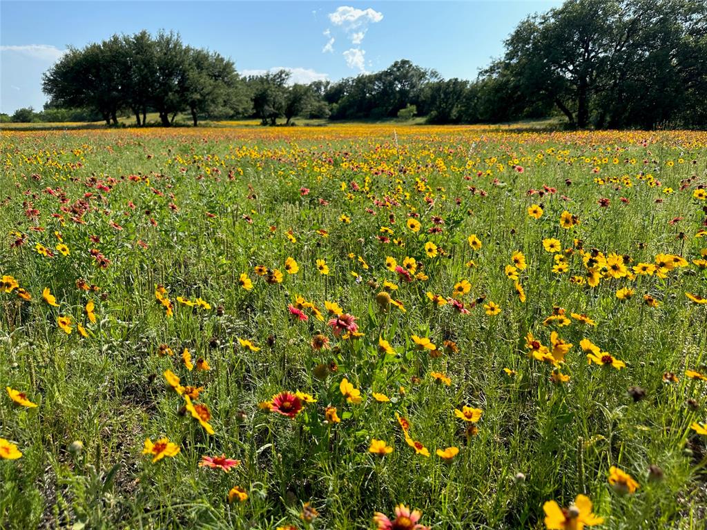 Kings Point Cove - Land