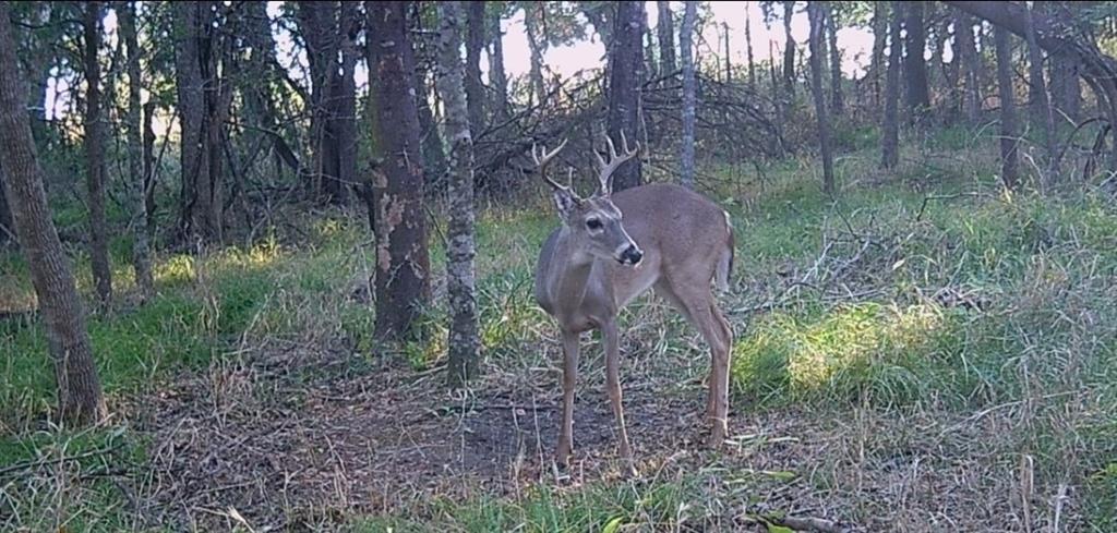 Rush Creek Ranch Sub - Land