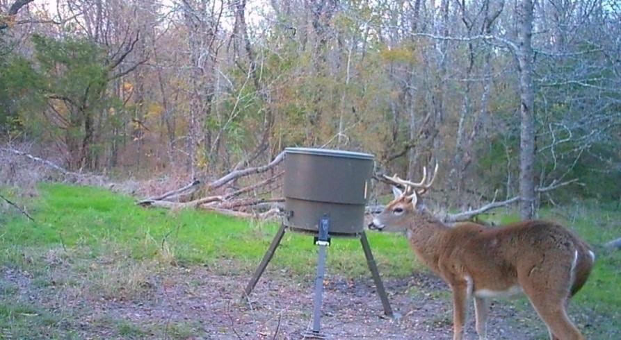 Rush Creek Ranch Sub - Land