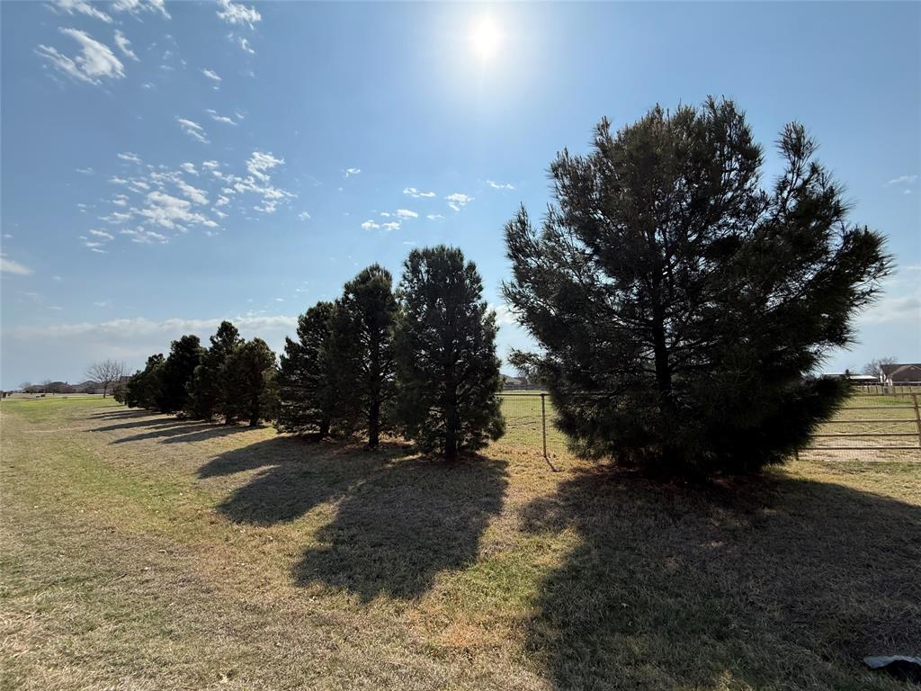 Pack Saddle Prairie - Land