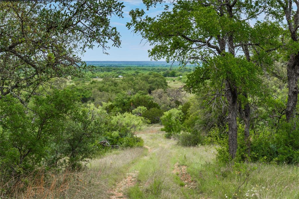 Remarkable 474.5 acres - approximately eight miles south of Brownwood, Texas - carrying the landmark traits of a classic Texas hill country ranch. Rolling hills, majestic elevations, dark skies, quiet seclusion, abundant wildlife, large neighboring acreage, minimal hunting pressure and healthy, diverse cover of live oak, native pecan, post, red and blackjack oak and mesquite. Big water including two tanks - one with a dock, wet-weather creeks, deep heavily-treed draws and two water wells. Excellent fencing (net topped with two barb wire), centrally located and easily drivable from Dallas-Fort Worth, Austin or San Antonio. 60 additional acres possibly available.