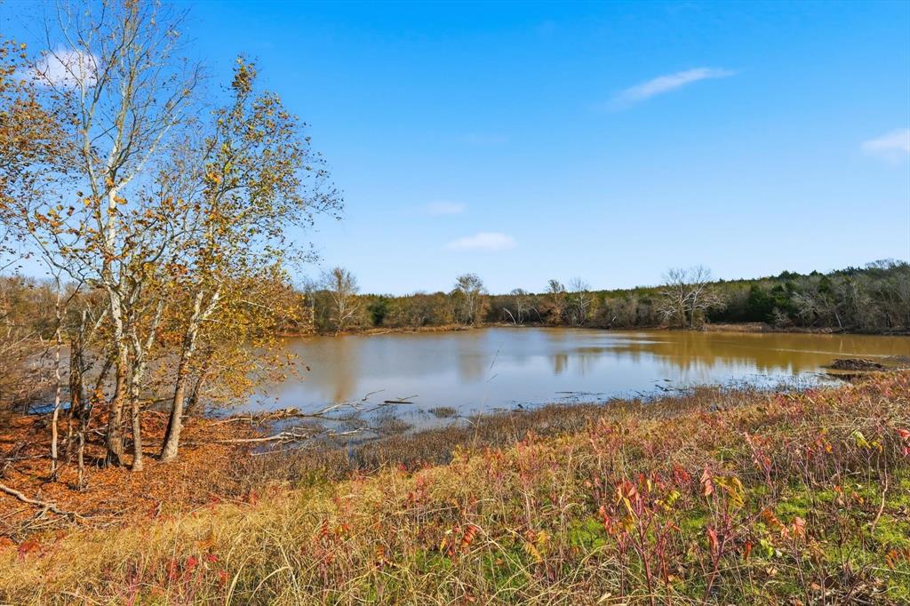 Mark Roberts Survey - Land