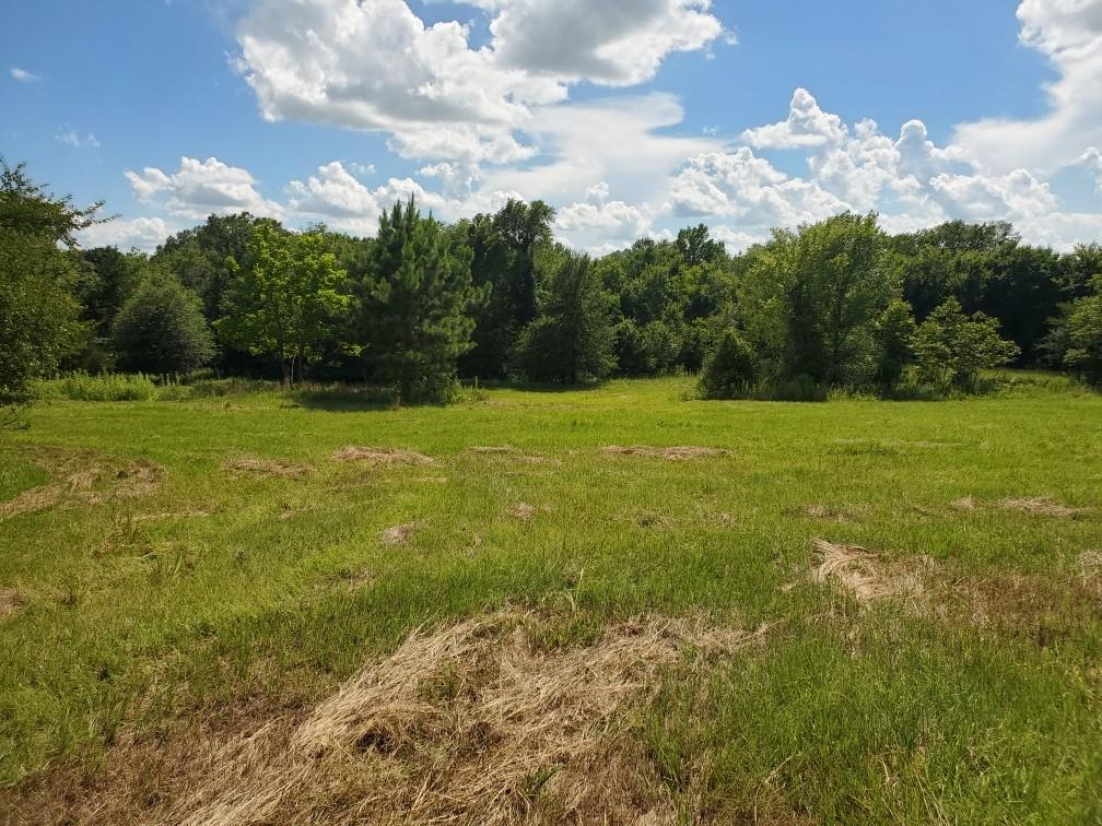 Glade Creek - Land