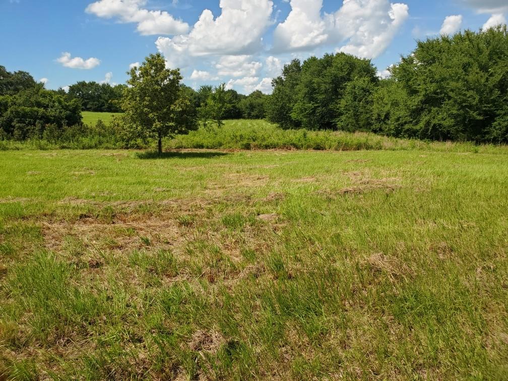Glade Creek - Land