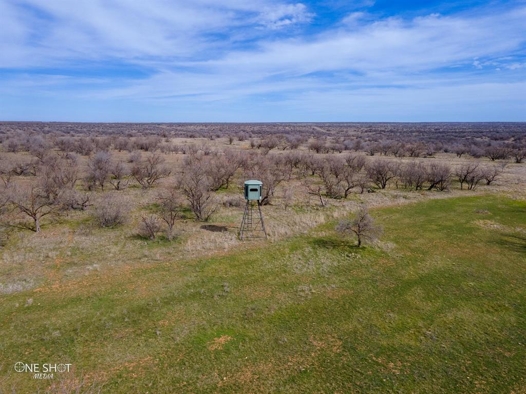 Shackelford Co. - Farm