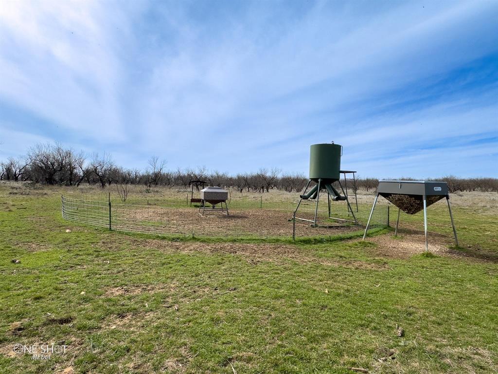Shackelford Co. - Farm
