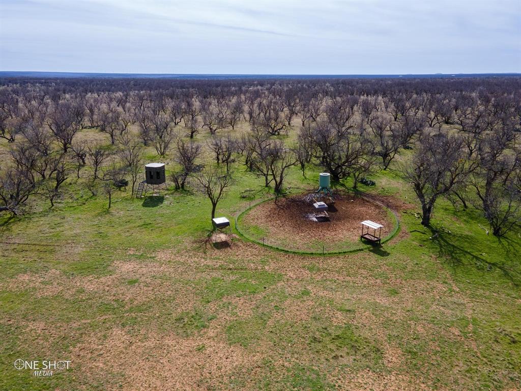 Shackelford Co. - Farm
