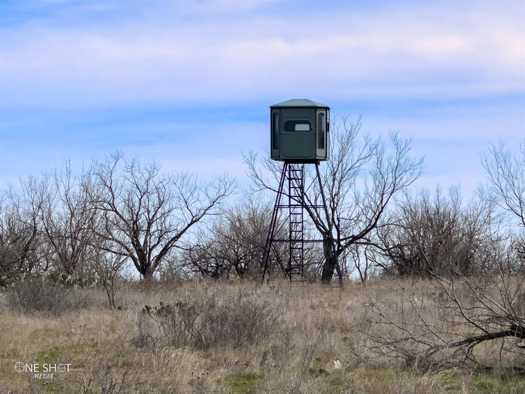 Shackelford Co. - Farm
