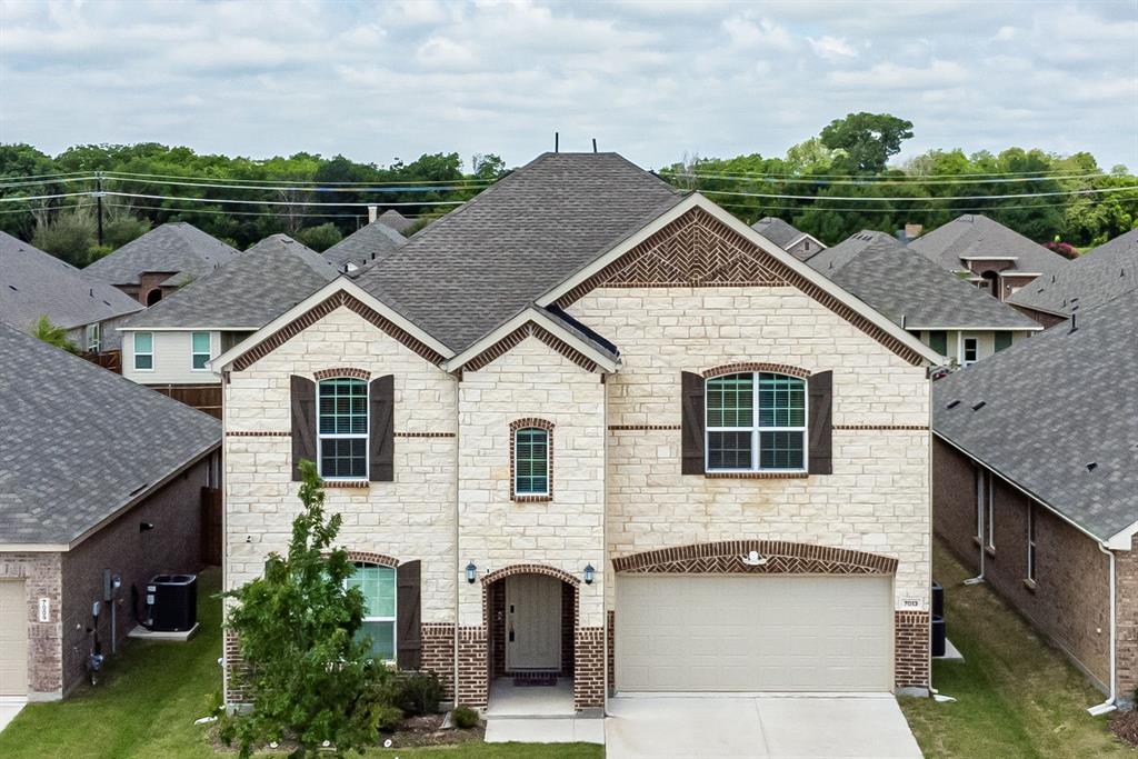 Shaded Tree - Residential