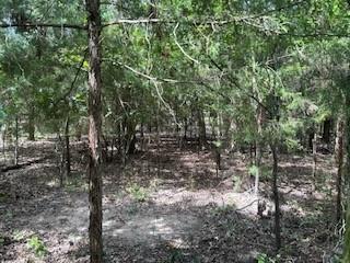 Waco Bay Estates Ph 1 - Land