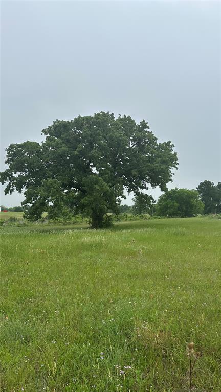 P. Varela - Residential