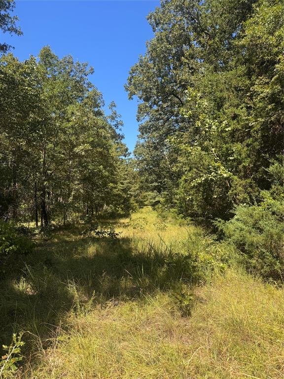 Saddle  Creek Ranch - Land
