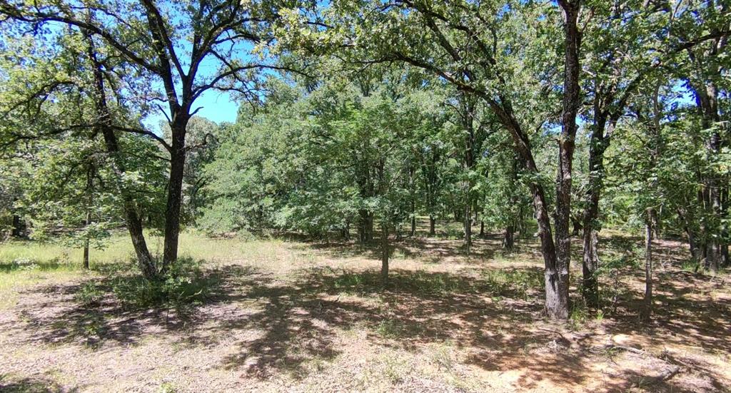 Saddle  Creek Ranch - Land