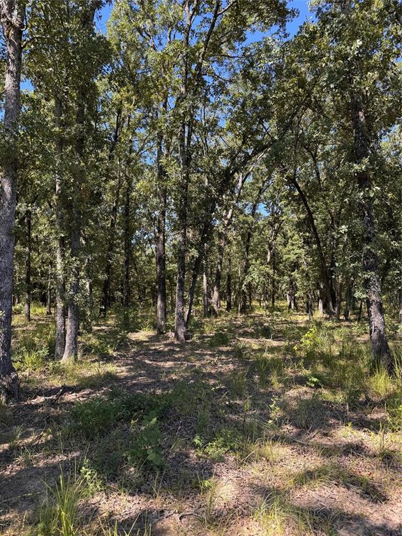 Saddle  Creek Ranch - Land