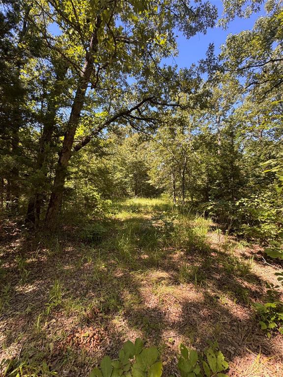 Saddle  Creek Ranch - Land