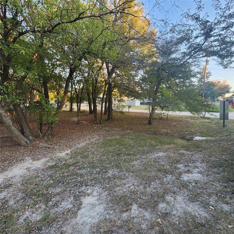 Hales Lake Tawakoni Sec 1 - Land