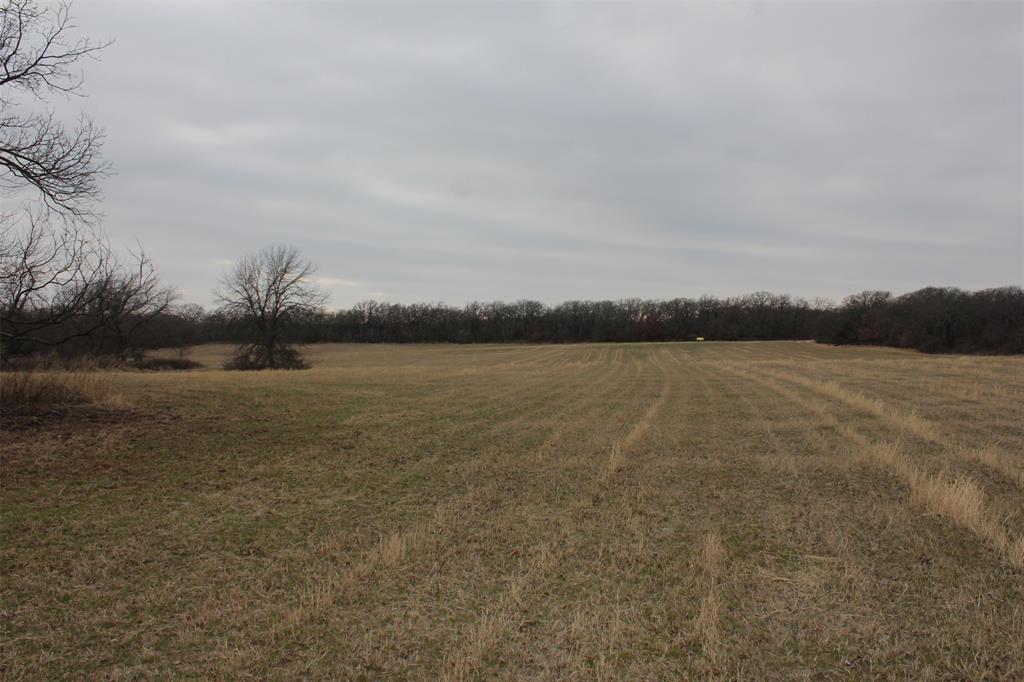 110.003 AB 432 OSCAR F LEVERETT SURVEY - Farm