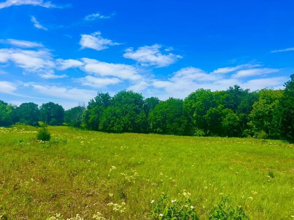 Sarra Ranch Estates - Land
