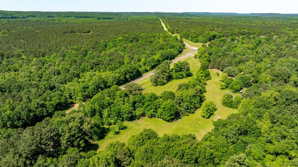 ABS A22 BUTLER, AHIRA,TRACT 55, 162.82 ACRES - Land