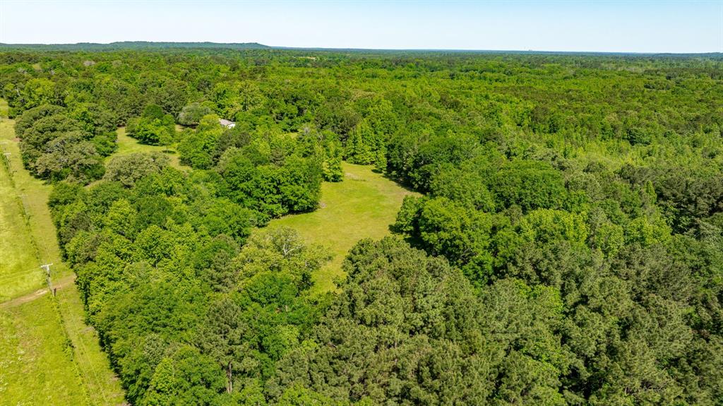ABS A22 BUTLER, AHIRA,TRACT 55, 162.82 ACRES - Land