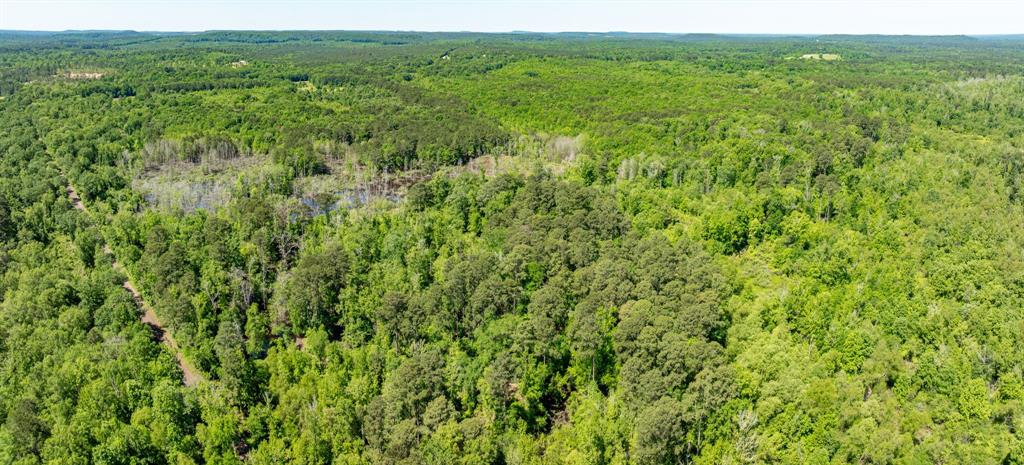 ABS A22 BUTLER, AHIRA,TRACT 55, 162.82 ACRES - Land