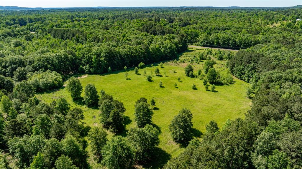 ABS A22 BUTLER, AHIRA,TRACT 55, 162.82 ACRES - Land