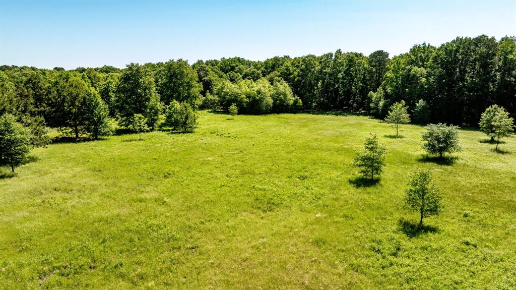 ABS A22 BUTLER, AHIRA,TRACT 55, 162.82 ACRES - Land