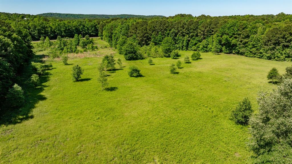 ABS A22 BUTLER, AHIRA,TRACT 55, 162.82 ACRES - Land