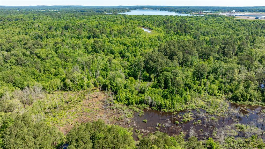 ABS A22 BUTLER, AHIRA,TRACT 55, 162.82 ACRES - Land