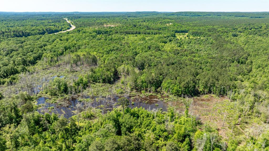 ABS A22 BUTLER, AHIRA,TRACT 55, 162.82 ACRES - Land