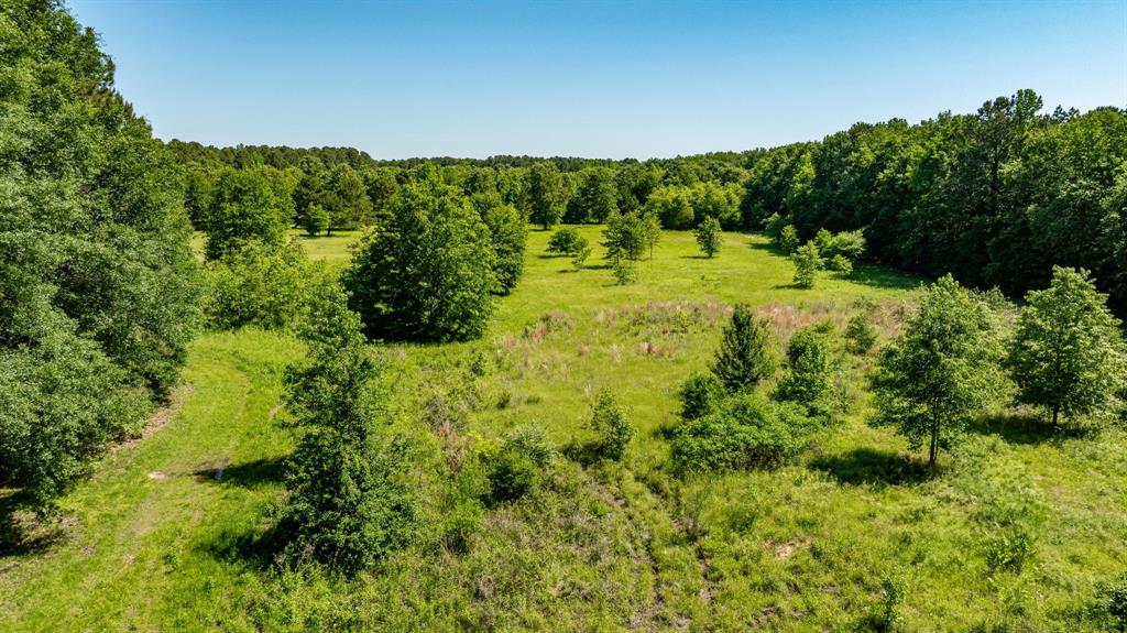 ABS A22 BUTLER, AHIRA,TRACT 55, 162.82 ACRES - Land