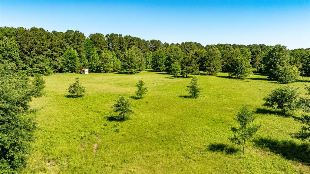 ABS A22 BUTLER, AHIRA,TRACT 55, 162.82 ACRES - Land