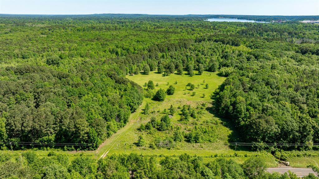 ABS A22 BUTLER, AHIRA,TRACT 55, 162.82 ACRES - Land