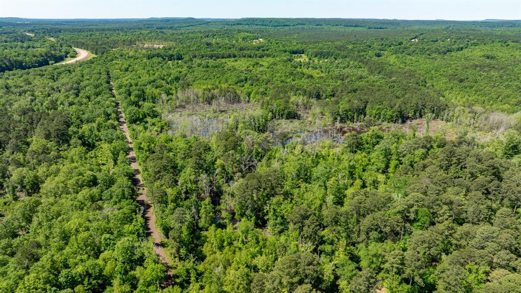 ABS A22 BUTLER, AHIRA,TRACT 55, 162.82 ACRES - Land