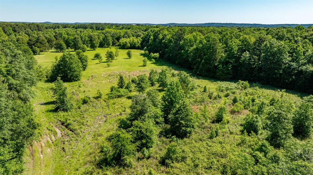 ABS A22 BUTLER, AHIRA,TRACT 55, 162.82 ACRES - Land