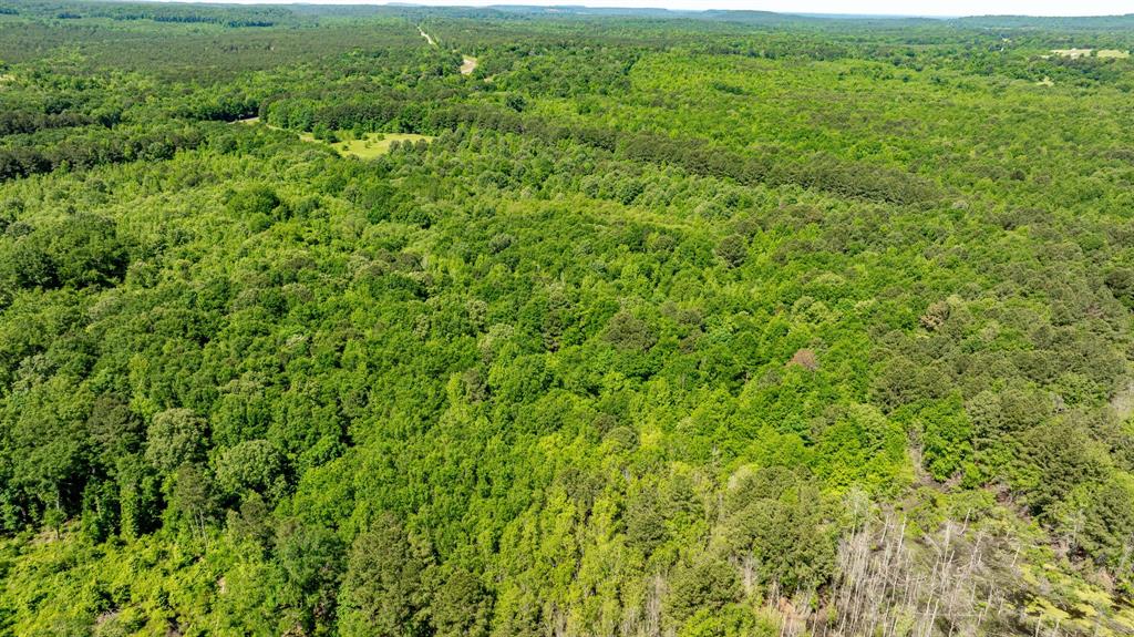 ABS A22 BUTLER, AHIRA,TRACT 55, 162.82 ACRES - Land
