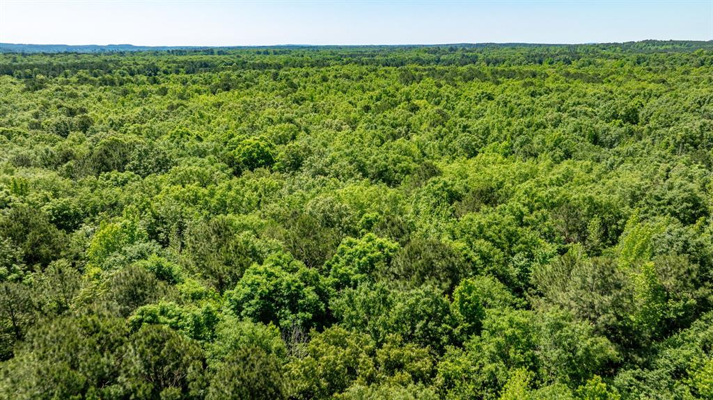 ABS A22 BUTLER, AHIRA,TRACT 55, 162.82 ACRES - Land