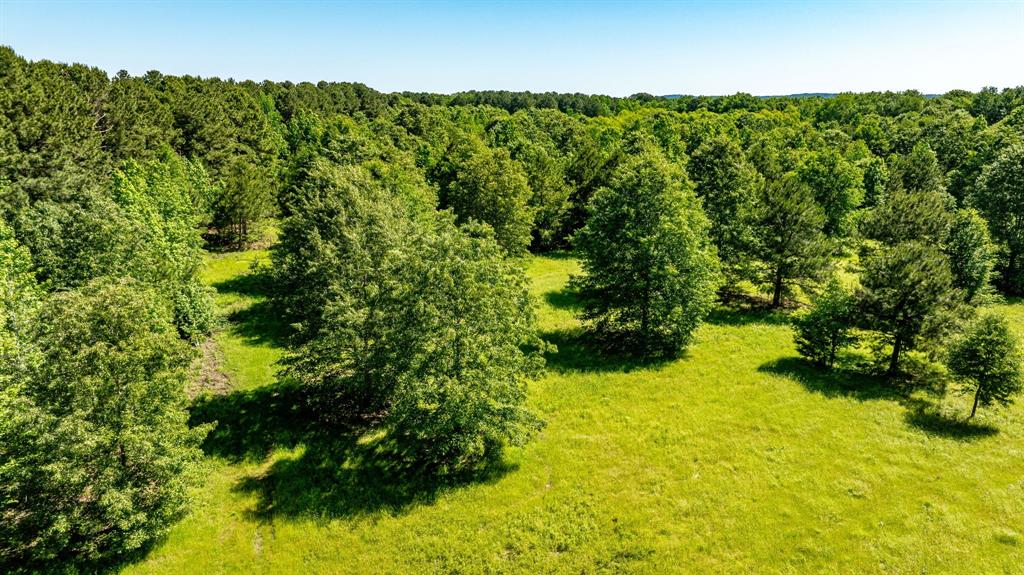 ABS A22 BUTLER, AHIRA,TRACT 55, 162.82 ACRES - Land