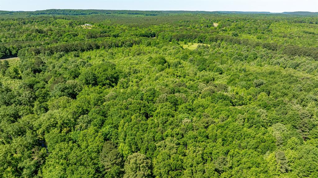 ABS A22 BUTLER, AHIRA,TRACT 55, 162.82 ACRES - Land