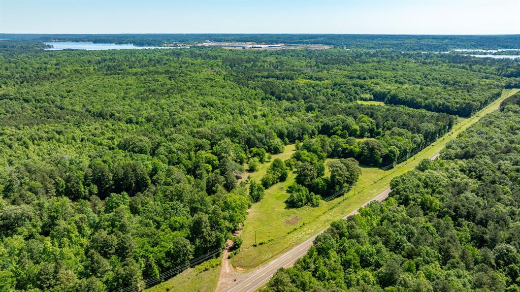 ABS A22 BUTLER, AHIRA,TRACT 55, 162.82 ACRES - Land