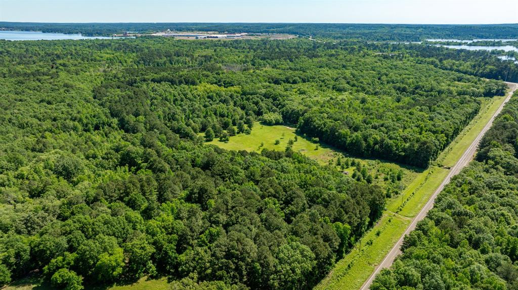 ABS A22 BUTLER, AHIRA,TRACT 55, 162.82 ACRES - Land