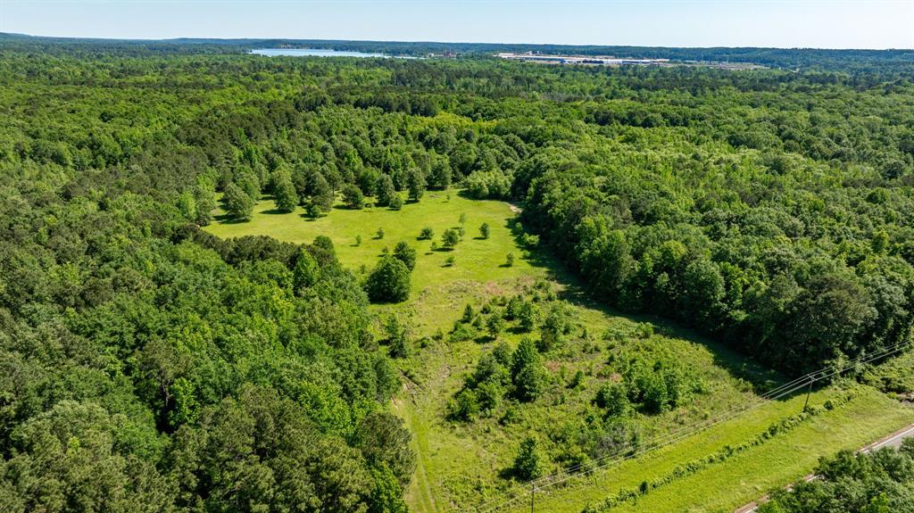ABS A22 BUTLER, AHIRA,TRACT 55, 162.82 ACRES - Land