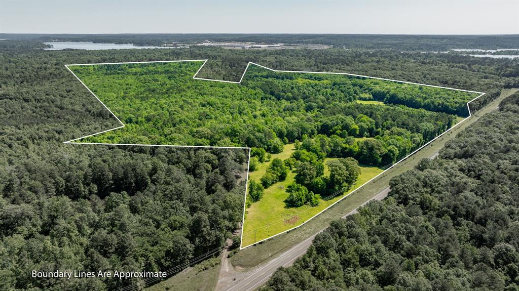 ABS A22 BUTLER, AHIRA,TRACT 55, 162.82 ACRES - Land