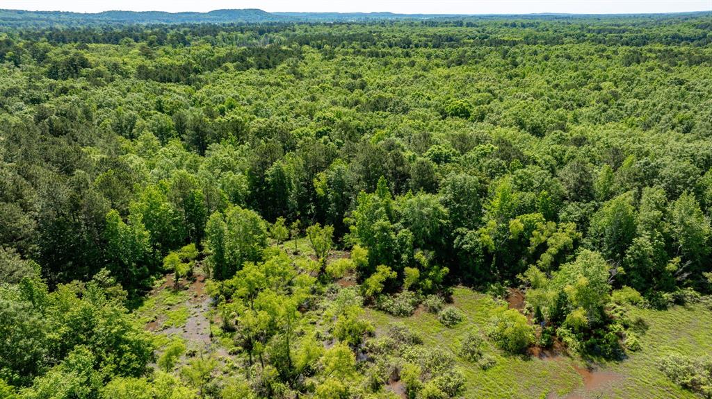 ABS A22 BUTLER, AHIRA,TRACT 55, 162.82 ACRES - Land