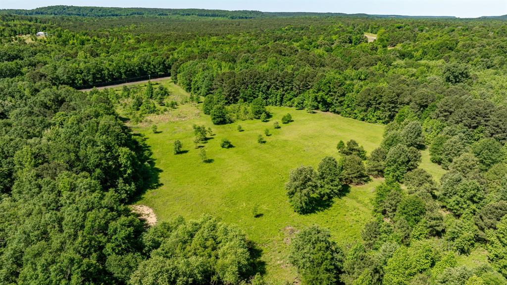 ABS A22 BUTLER, AHIRA,TRACT 55, 162.82 ACRES - Land